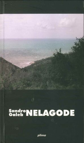 Picture of Jovan Nikolaidis: Nelagode / Sandro Galeb