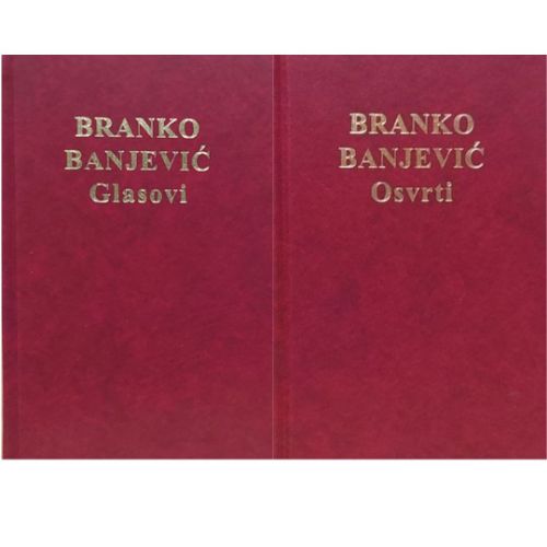 Slika Branko Banjević: Glasovi – Osvrti 