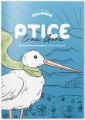 ptice crne gore