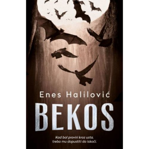 bekos cover